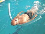 Wrocław indywidualna nauka pływania dla dorosłych